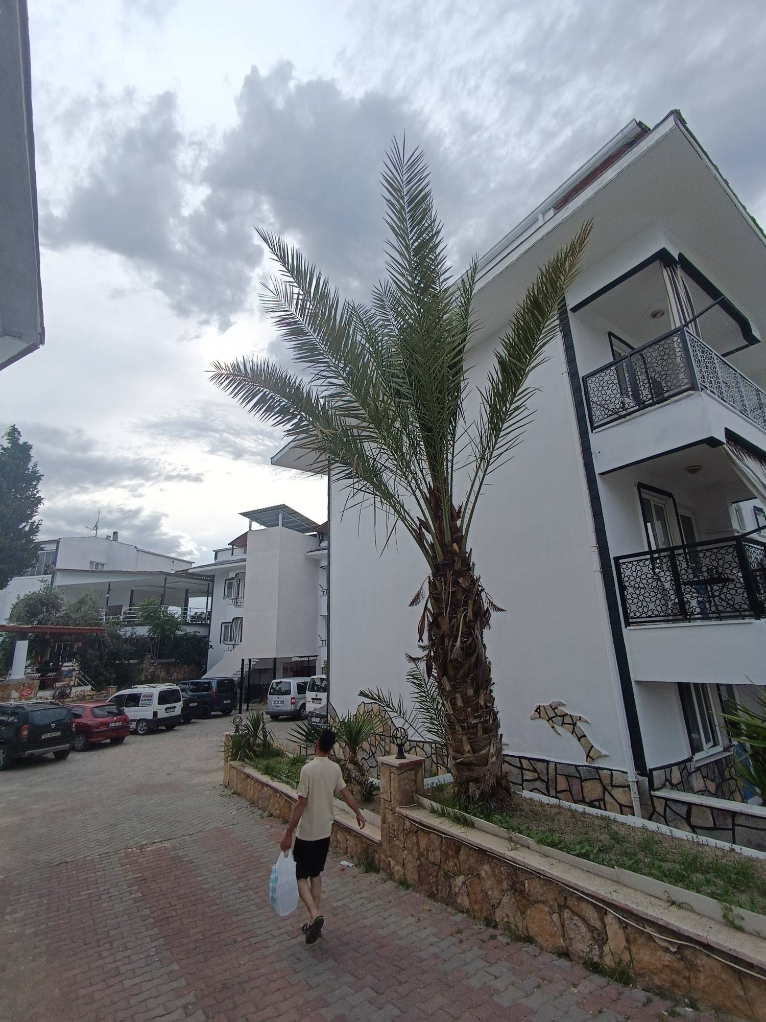 Bina önü ve otopark yolu