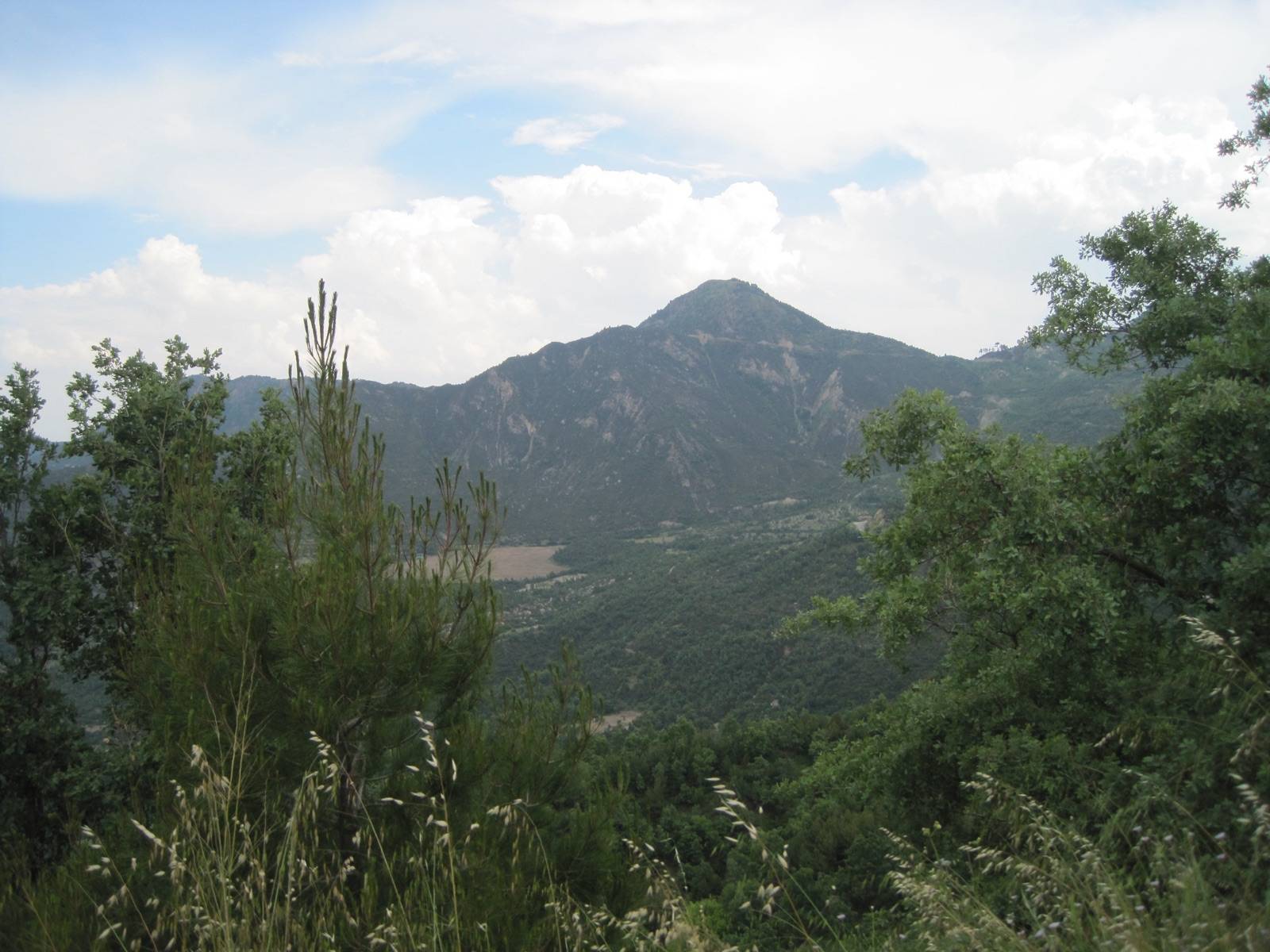 Buldan